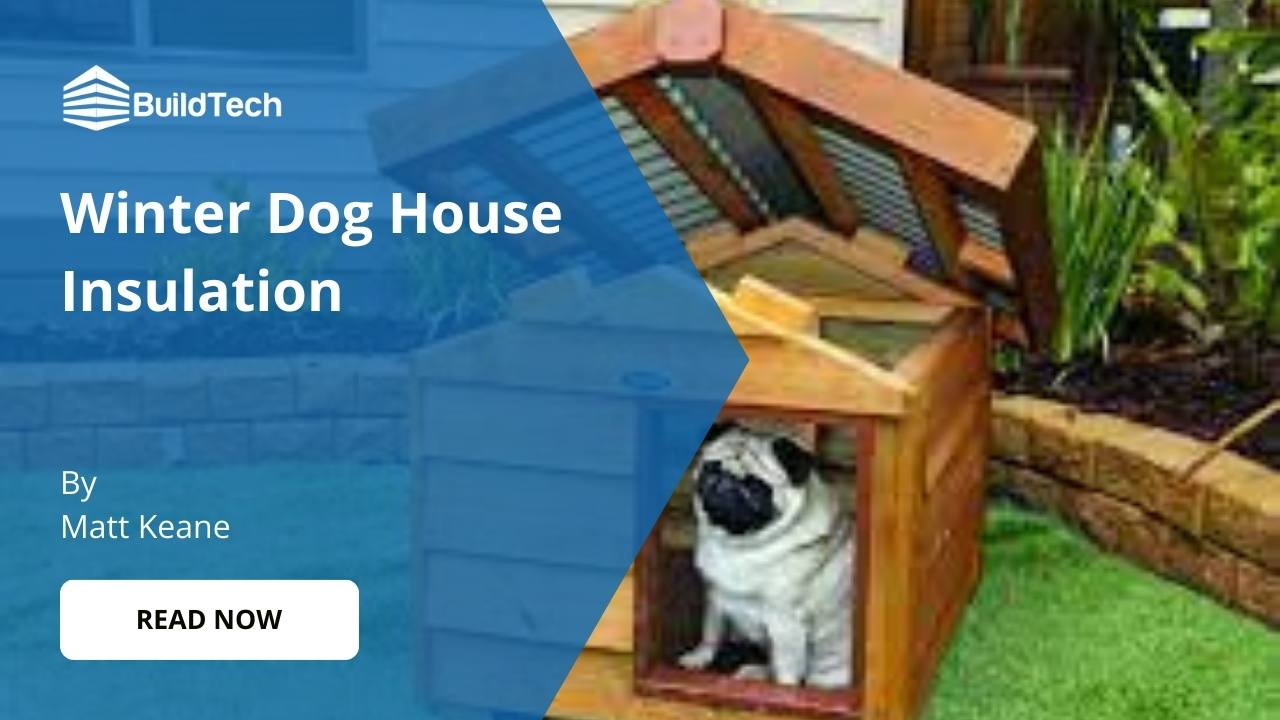 How to Insulate a Dog House for Winter: Steps to Success